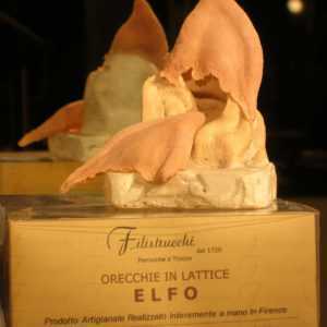 La foto mostra delle orecchie da elfo in lattice.